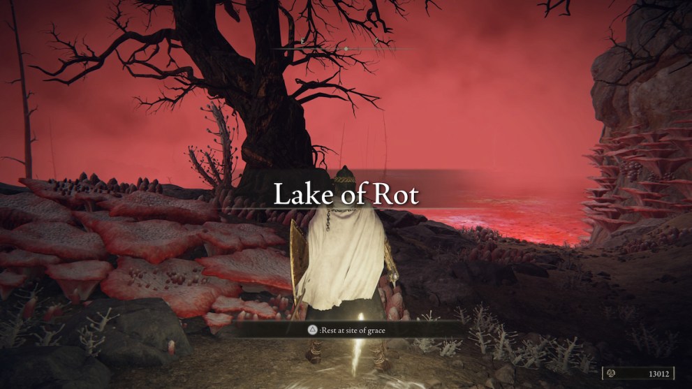 looking at the lake of rot