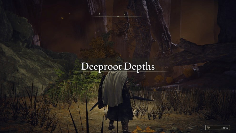 on the roots in deeproot depths