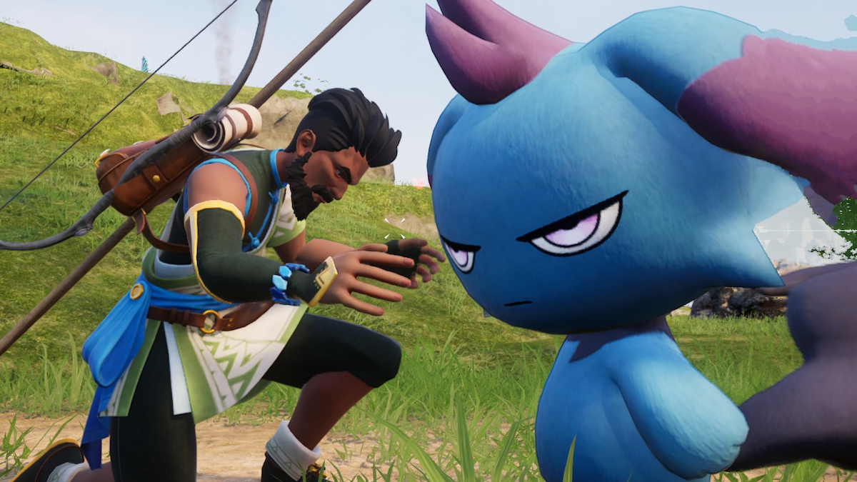 Swell panic snowboard. Веерная финиковая пальма. Пал ма. Пал ма. Ландшафтный пожар.