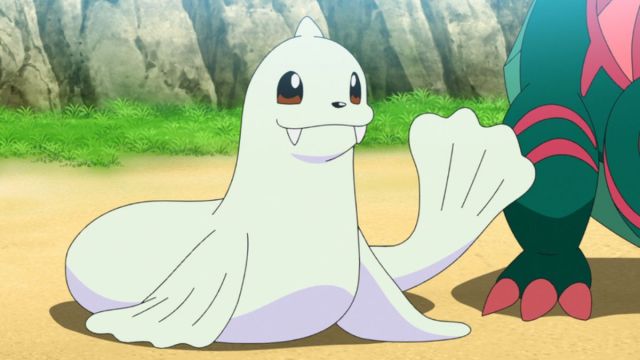 Dewgong from the Pokemon anime