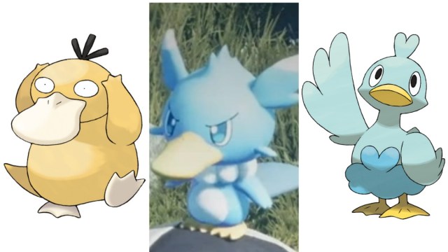 Ducklett, Psyduck and Fuack comparison