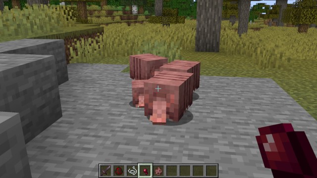 Where to Find Armadillo in Minecraft (& What It Does)