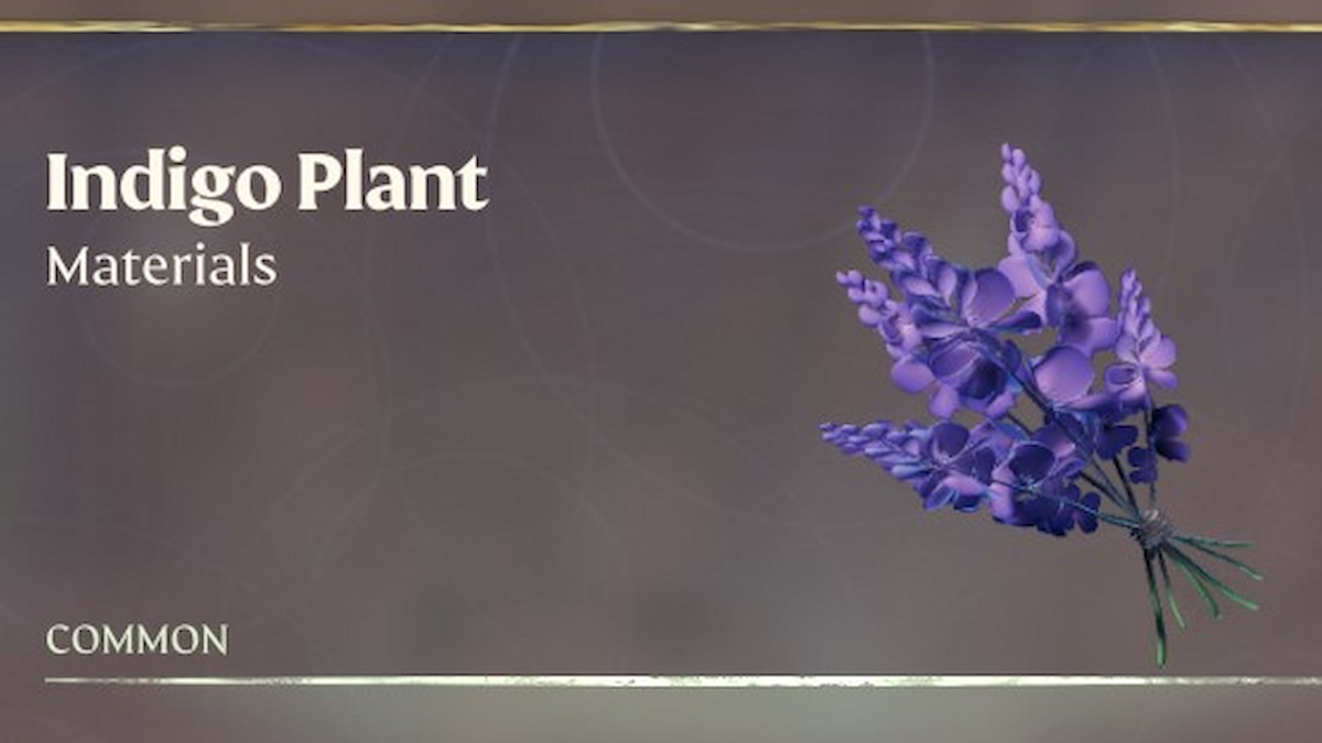 Indigo Plant in inventory in Enshrouded