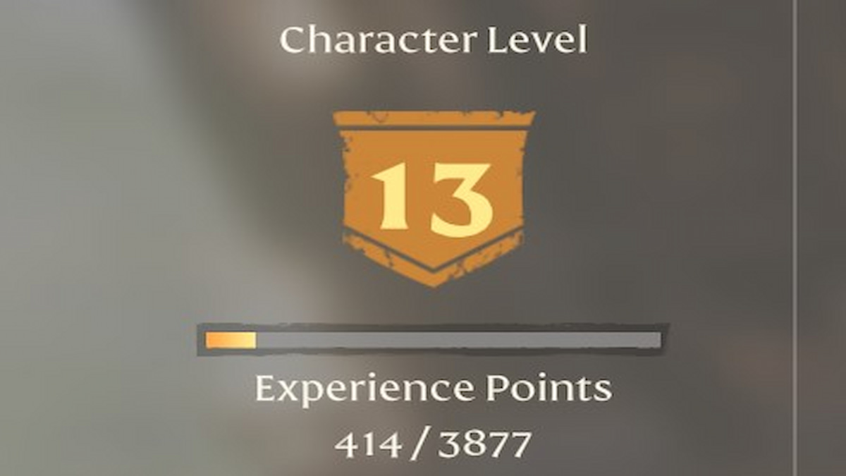 Experience points bar and Level in Enshrouded