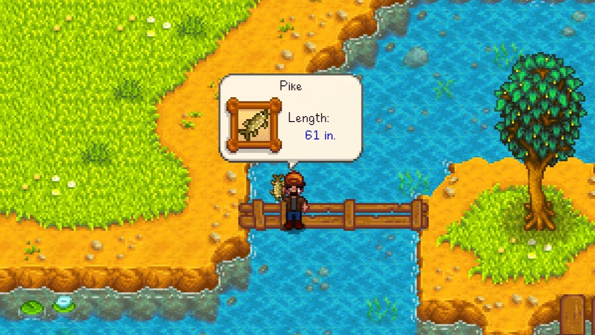 Stardew Valley Pike: Where to Catch & How to Use