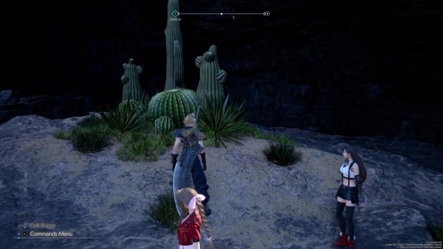 Cloud Next to Cacti in FF7 Rebirth