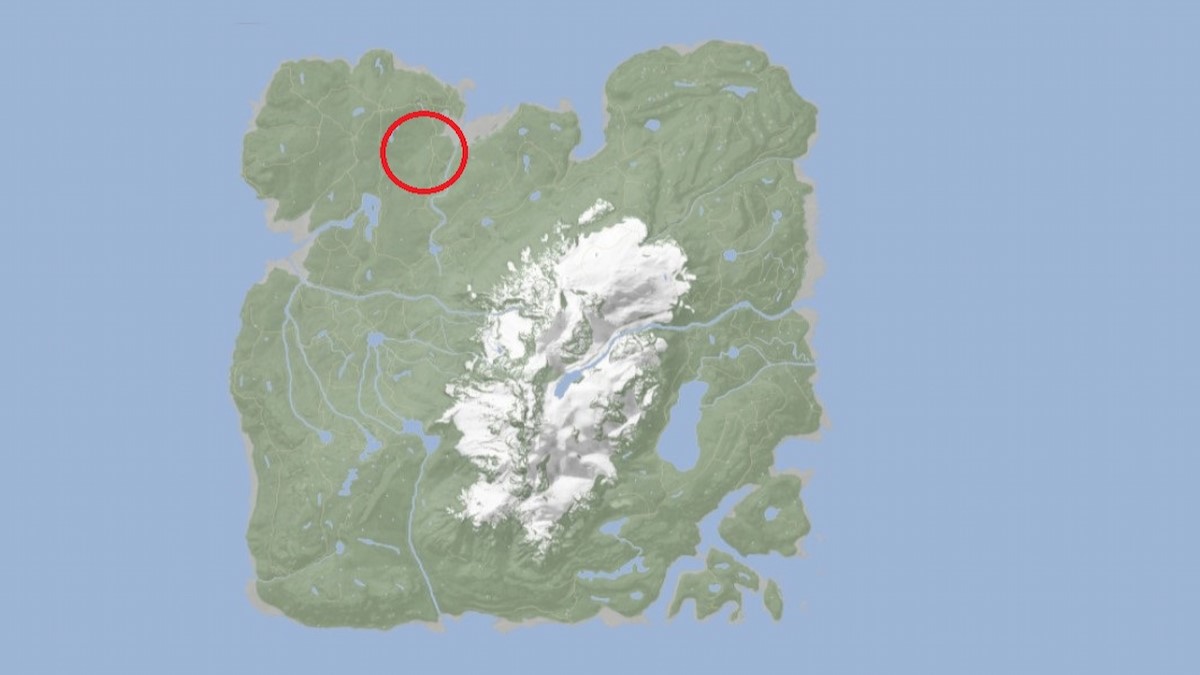 Where to Find Raccoons in Sons of the Forest - Twinfinite
