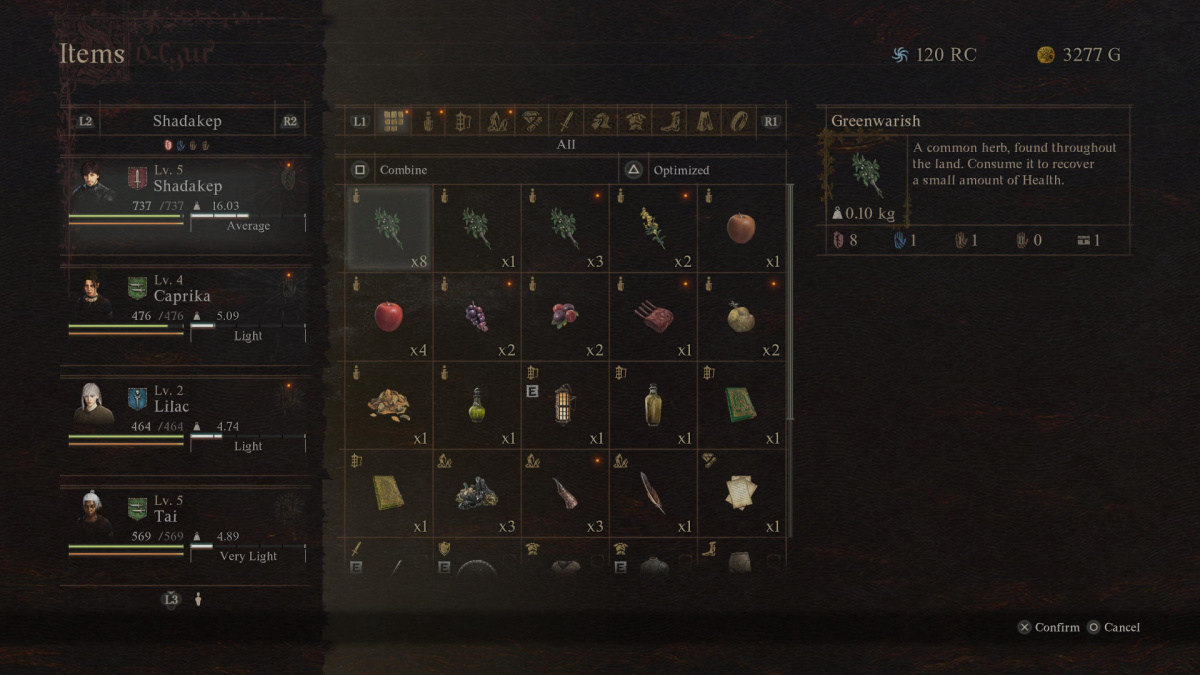 View of Inventory and Party's Carry Capacity in Dragon's Dogma 2
