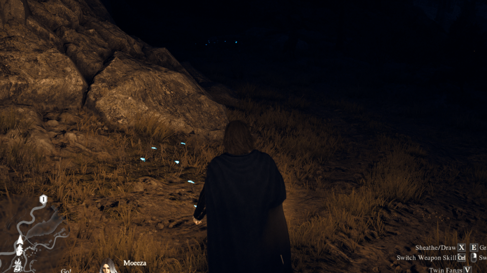 dragon's dogma 2 night time trail of blue petals