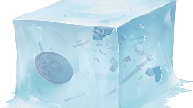 Dungeons and Dragons what would a Gelatinous Cube taste like