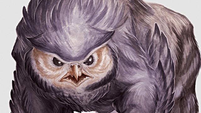 Dungeons and Dragons what would an Owlbear taste like