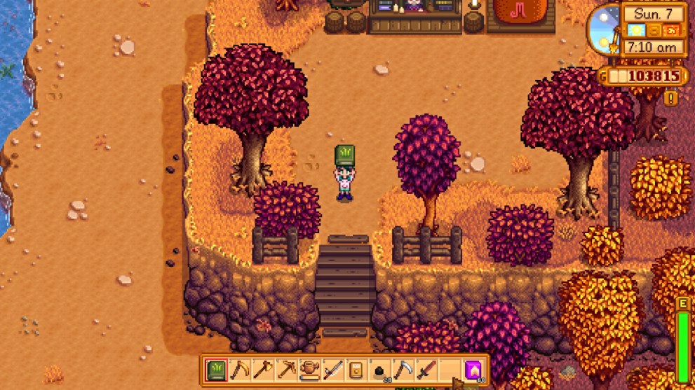 Stardew Valley what the Bookseller offers