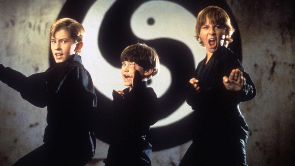 Ninja Is In All 3 Ninjas Movies in Order - Twinfinite