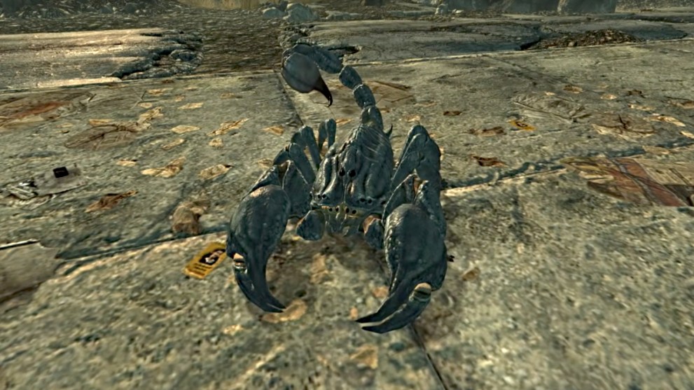 Fallout what is a Radscorpion
