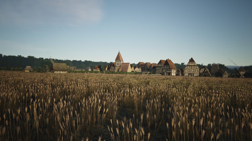 A medieval village with a field of grain and buildings in the distance
