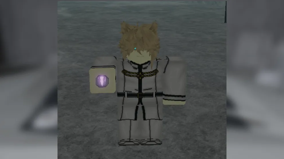 A character holding Hogyoku Fragments in Type Soul.
