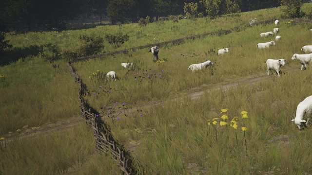 Sheep grazing in Manor Lords