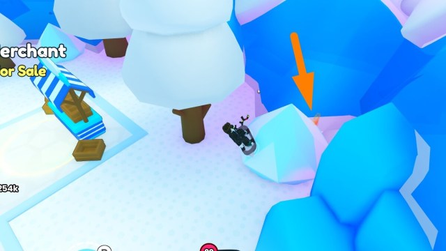 Shiny relic location behind a snow cone in Pet Sim 99