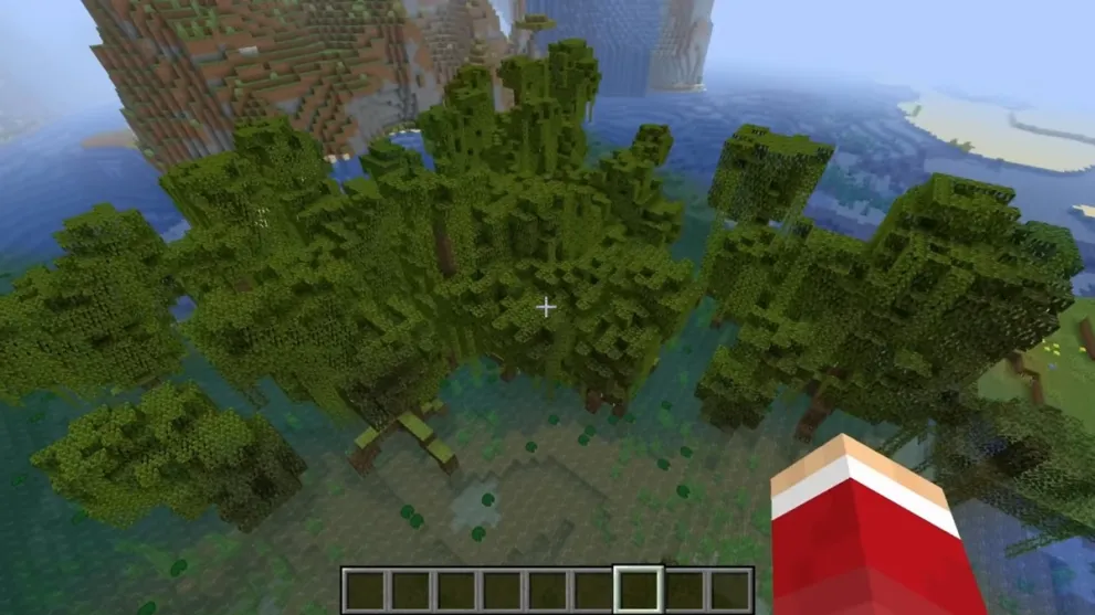 Minecraft character POV above swamp biome for bogged