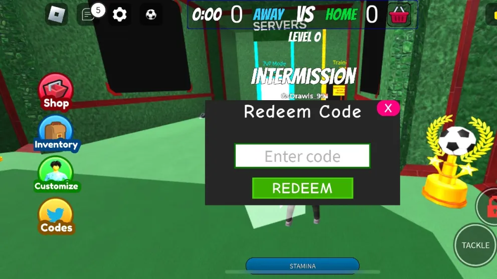 The code redemption screen in Realistic Street Soccer.