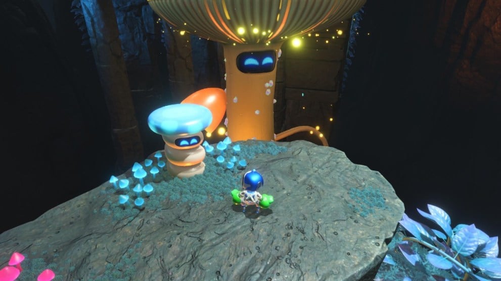 The third bot location in Wormy Passage.