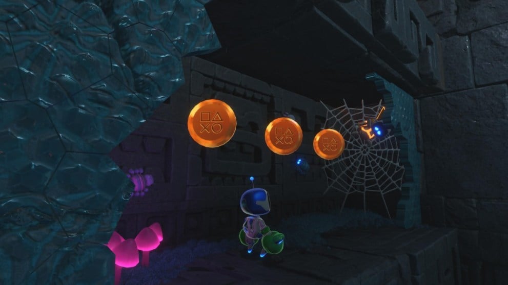 The fifth bot location in Wormy Passage.