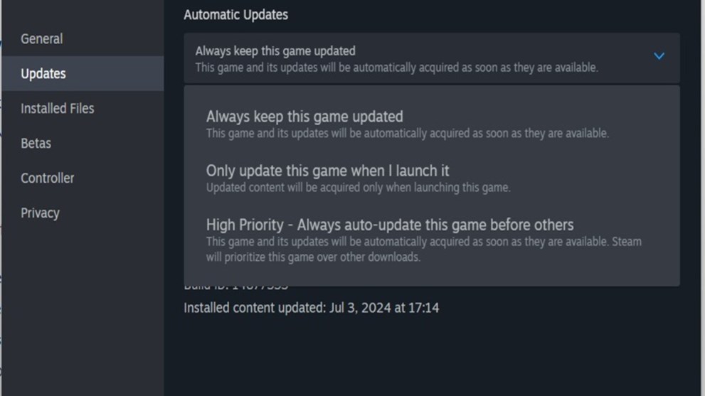 Update options on Steam