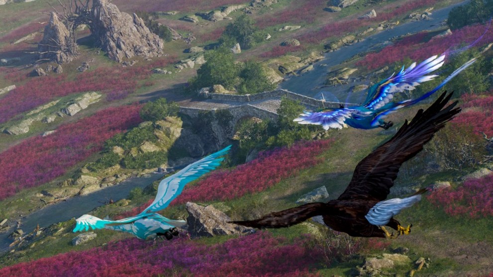 birds flying through the countryside