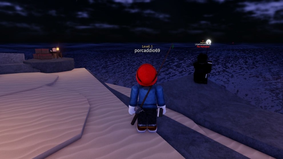 Roblox character looking at the sea