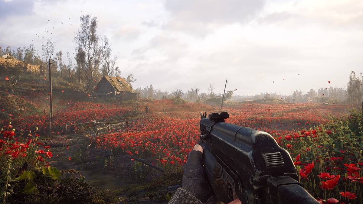 STALKER 2 first person POV holding gun looking at field of red flowers and clear skies