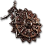 Solar Amulet from Path of Exile 2