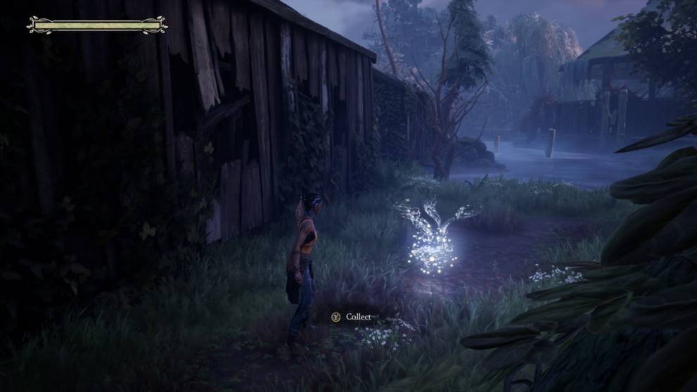 Hazel collecting a floof