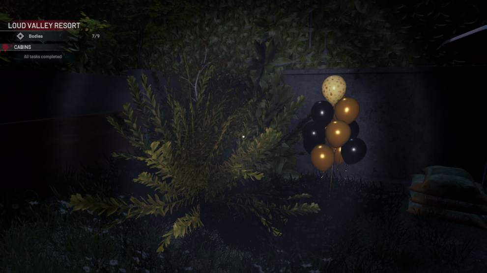 secret space behind a bush and balloons