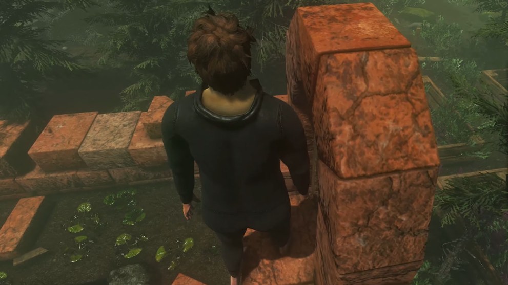 Behind the Castle Gates