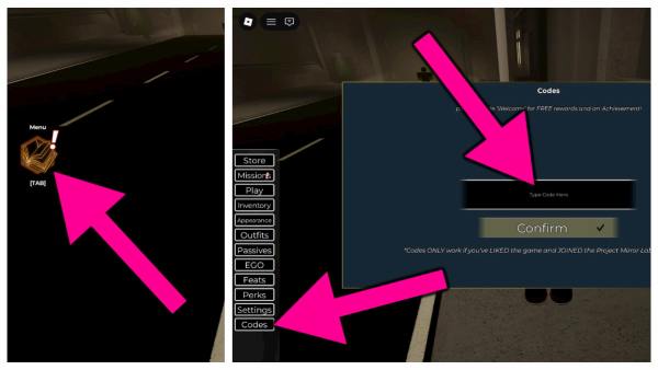 How to redeem Project Mirror Labyrinth codes.