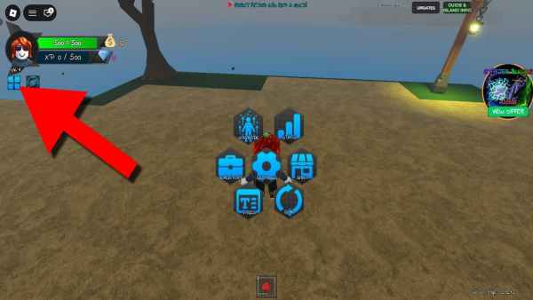 How to redeem Lords piece codes. 