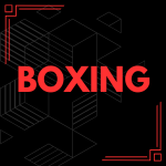Boxing fighting style from Bizarre Lineage Roblox experience