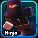 Ninja from Summon Heroes
