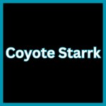 The Coyote Starrk Weapon from Anime Limitless Roblox Experience